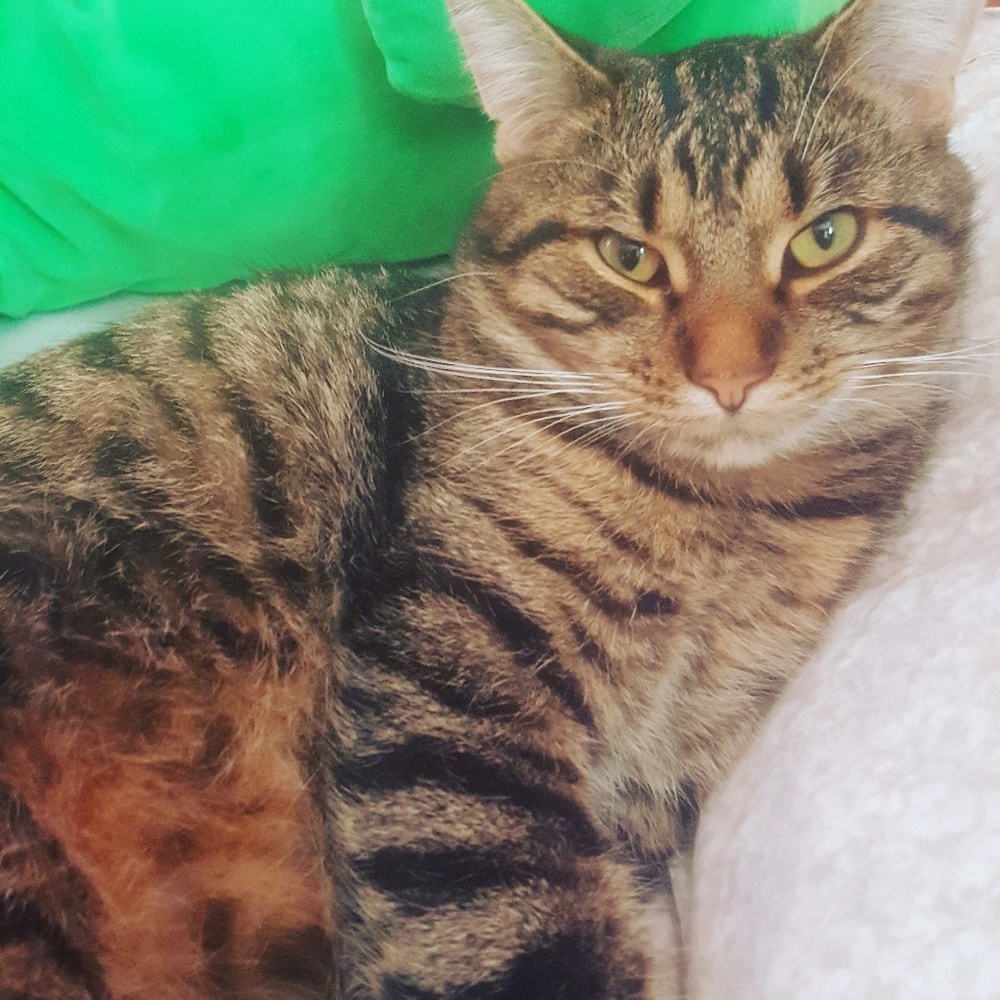 Meet your Posher, Shana